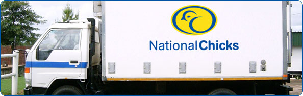 National Chicks have a fleet of temperature-controlled delivery vehicles for transporting day-old chicks
